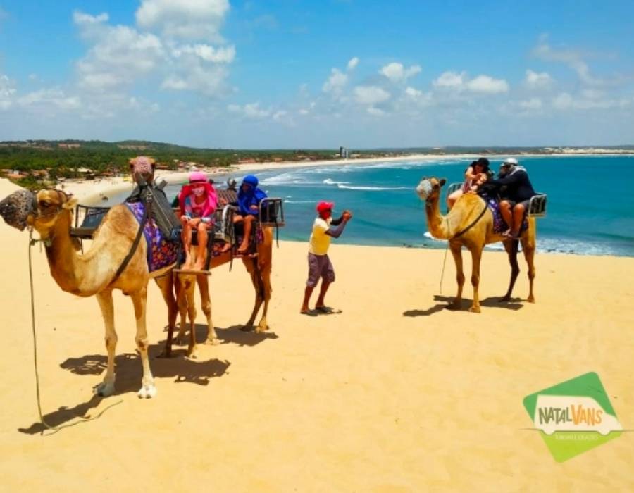 Passeio de Dromedários nas dunas de Genipabu
